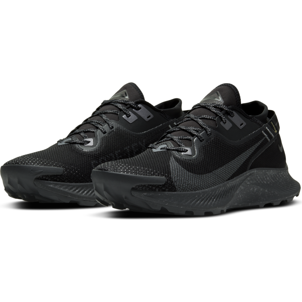 Nike Men's Pegasus Trail 2 GORE-TEX - Black/Iron Grey-Mtlc Dark Grey ...